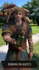 The Witcher: Monster Slayer 9